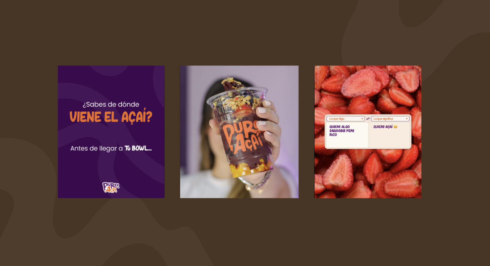Lanzamiento de Puro Açaí